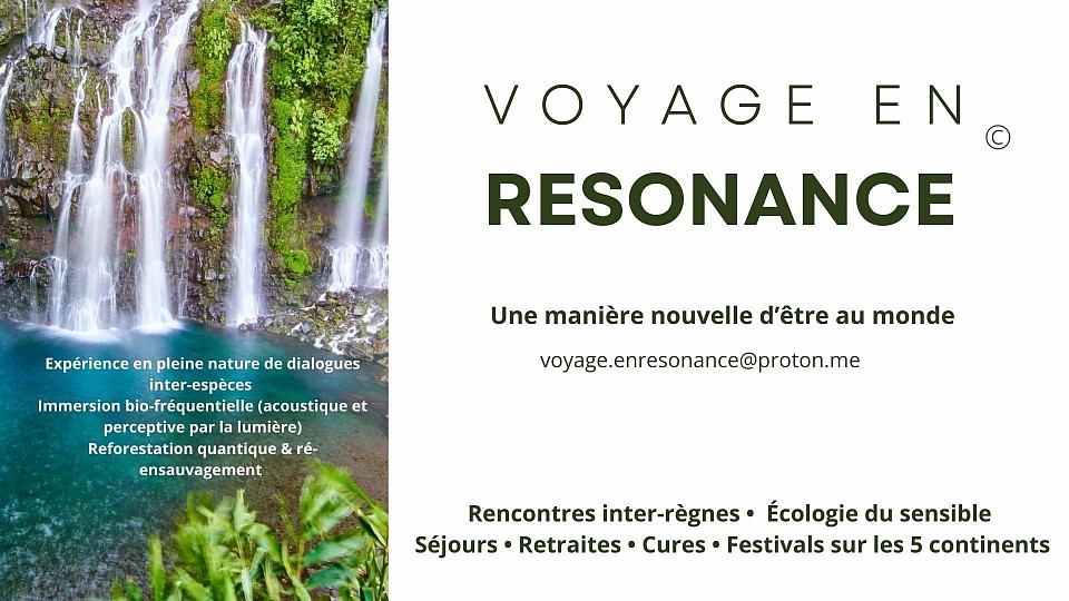 bio-communication  voyages senegal reforestation quantique