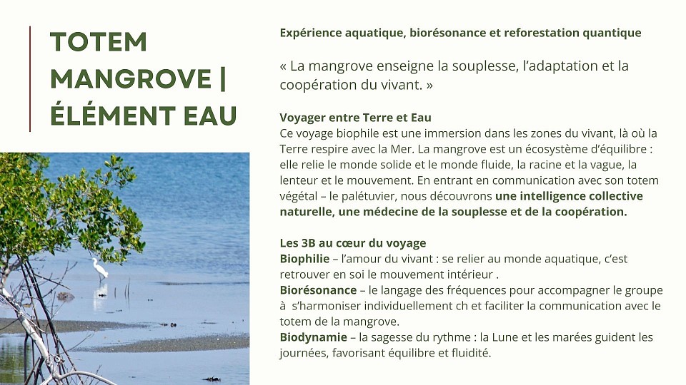 recevez vos messages par bio-communication