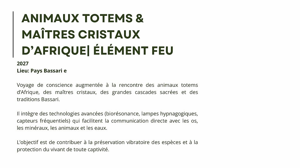 MAITRES CRISTAUX EN PAYS BASSARI ET RENCONTRES DES CASCADES ET TRIBUS