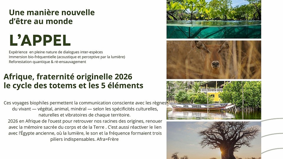 AFRIQUE, racine de la fraternité