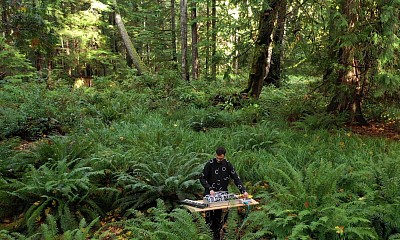 photo parue dans The Guardian