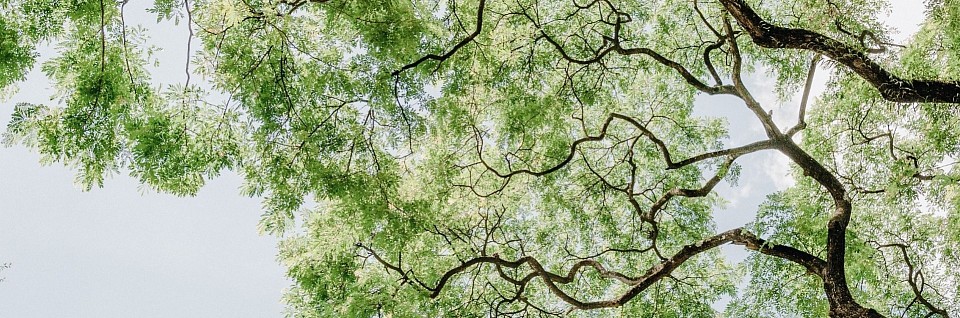 Canopé, réseau des communautés fréquentielles